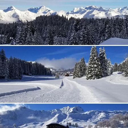 Studio Cabine Praz De Lys 塔南日 外观 照片