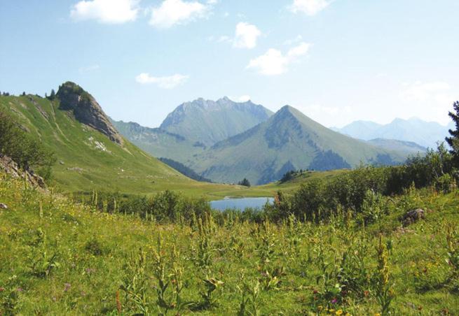 Studio Cabine Praz De Lys 塔南日 外观 照片