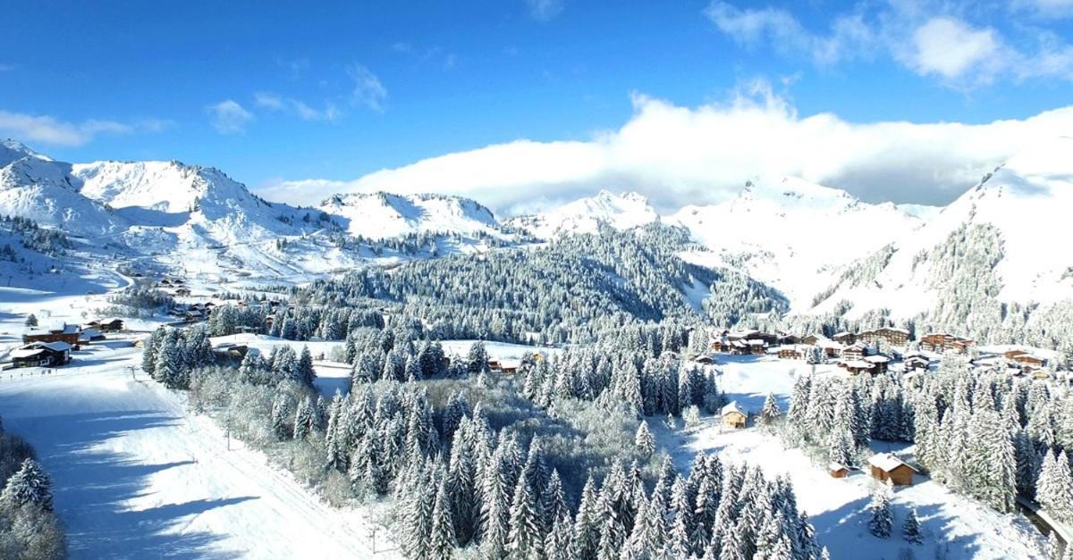 Studio Cabine Praz De Lys 塔南日 外观 照片
