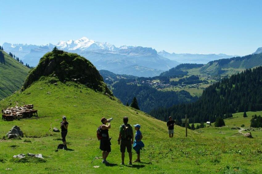 Studio Cabine Praz De Lys 塔南日 外观 照片