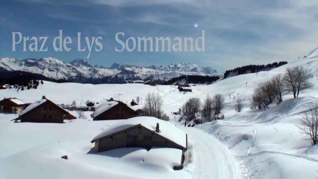 Studio Cabine Praz De Lys 塔南日 外观 照片