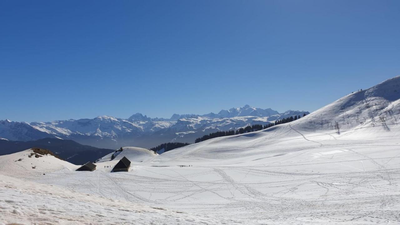 Studio Cabine Praz De Lys 塔南日 外观 照片