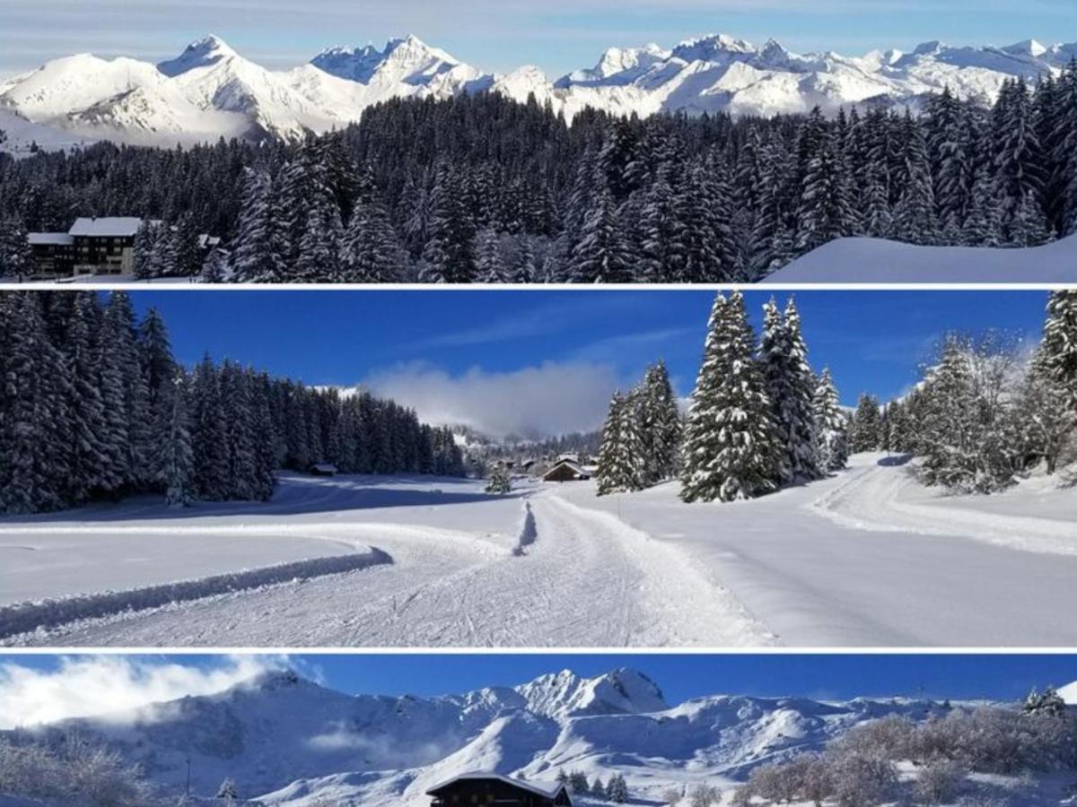 Studio Cabine Praz De Lys 塔南日 外观 照片