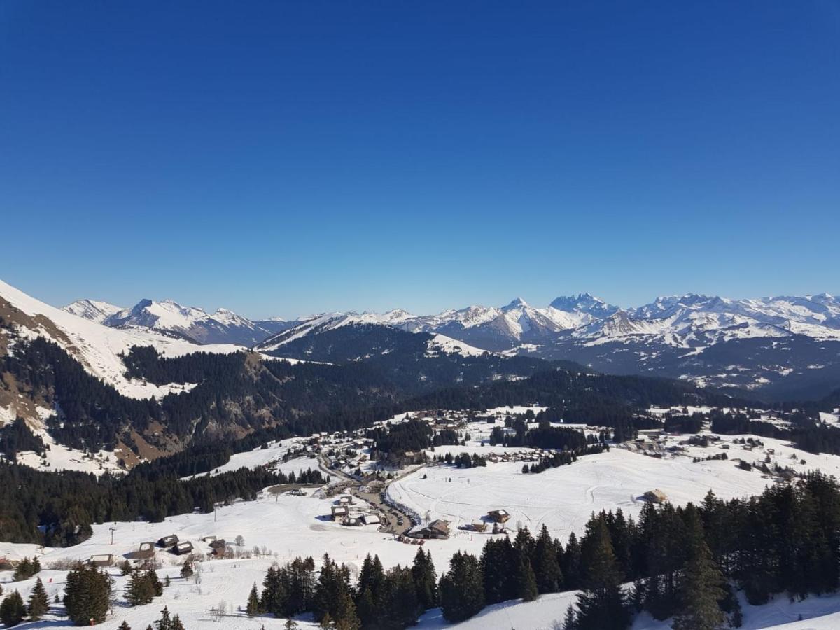 Studio Cabine Praz De Lys 塔南日 外观 照片