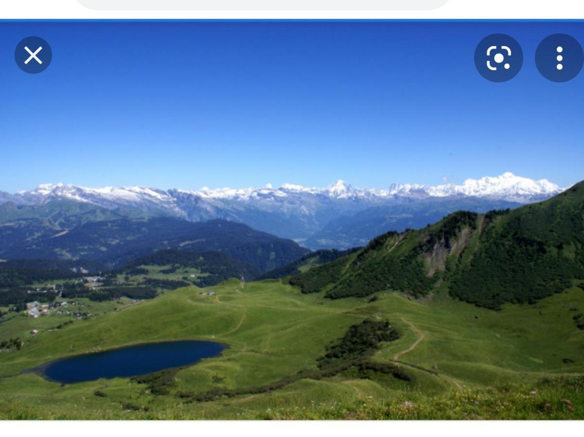 Studio Cabine Praz De Lys 塔南日 外观 照片