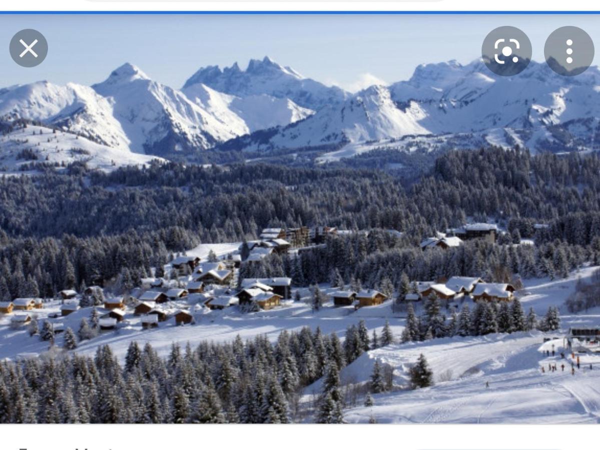 Studio Cabine Praz De Lys 塔南日 外观 照片