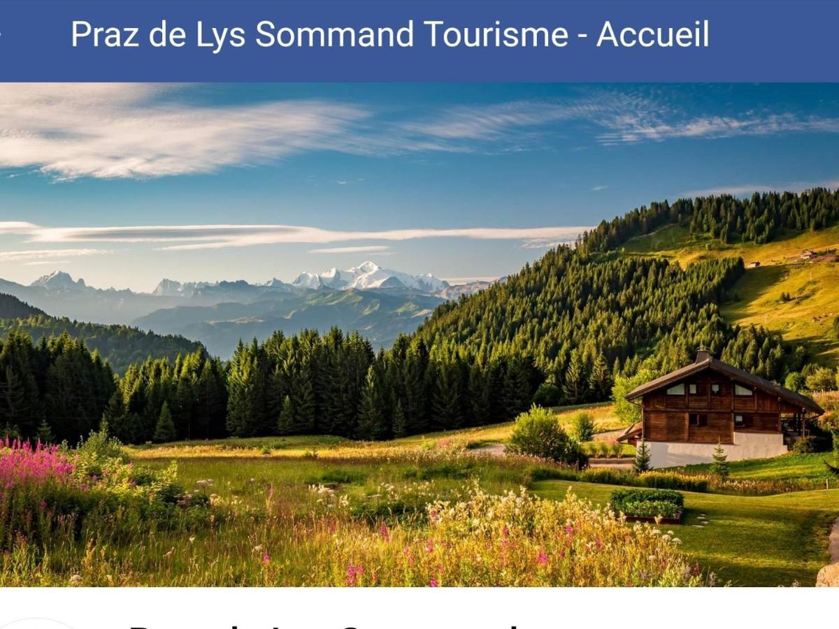 Studio Cabine Praz De Lys 塔南日 外观 照片